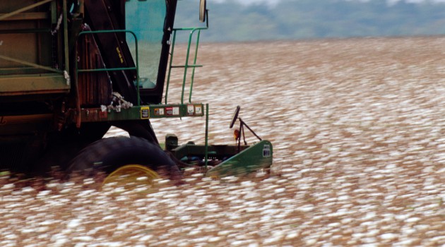 Machine Working Cotton Field