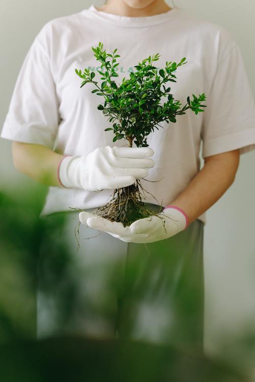 Varför välja barnkläder av naturmaterial?