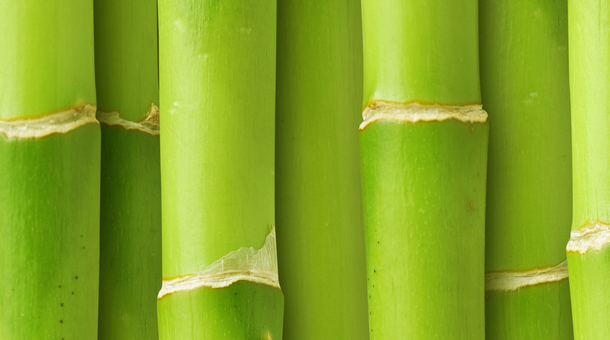 Kläder av bambu
